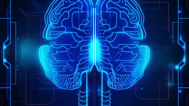 图像识别服务报价背后的考量因素